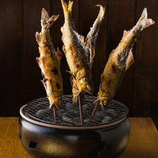 漁港直送鮮魚を堪能する焼き魚づくし